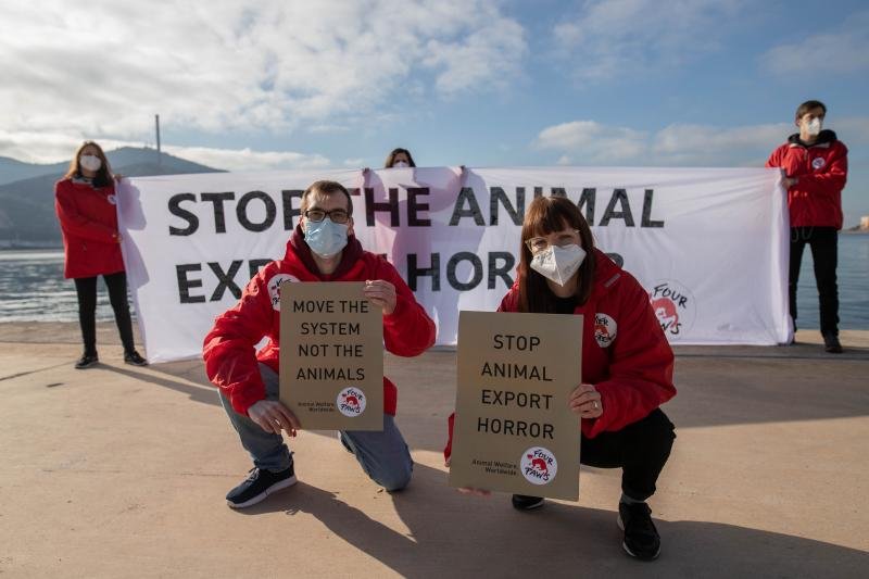 Protest tegen verre veetransporten